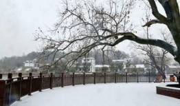 吃瓜爆料每日大赛最新动态 娱乐新闻播报视频,“瓜王争霸！吃瓜爆料每日大赛最新娱乐新闻播报视频盘点”